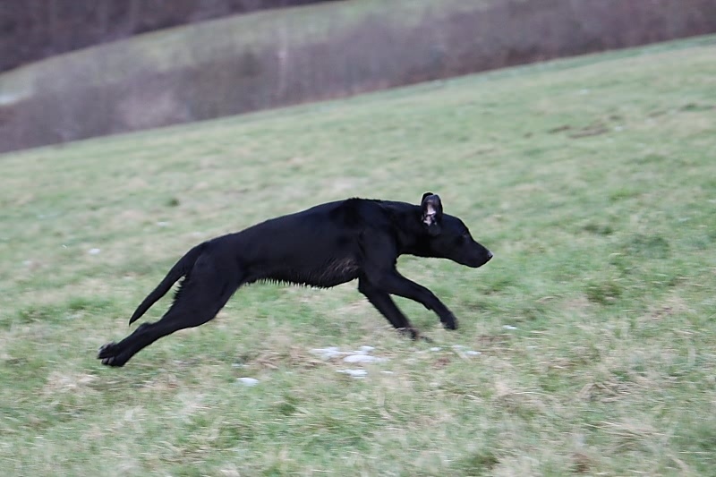 10 01 17 DbF Training 52