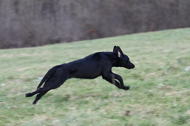 10 01 17 DbF Training 53