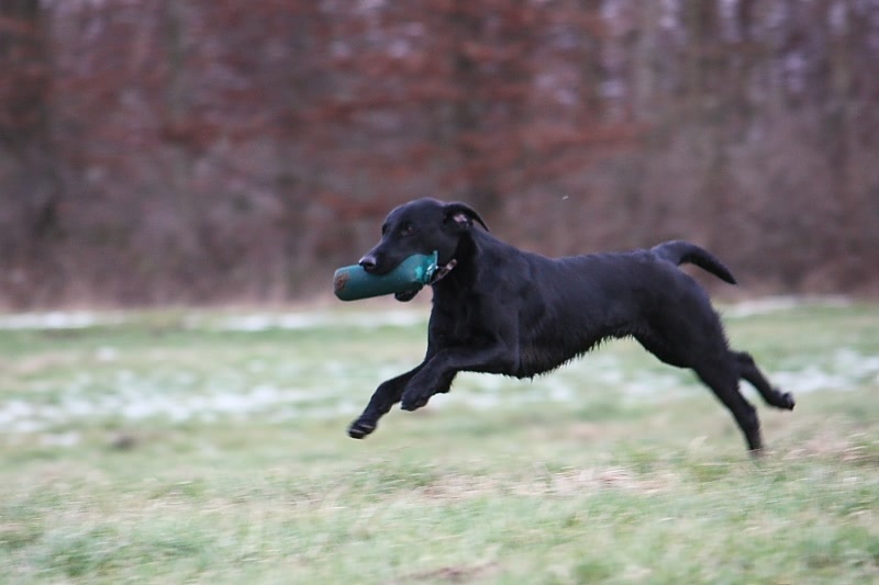 10 01 17 DbF Training 54