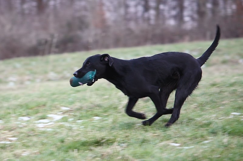 10 01 17 DbF Training 55