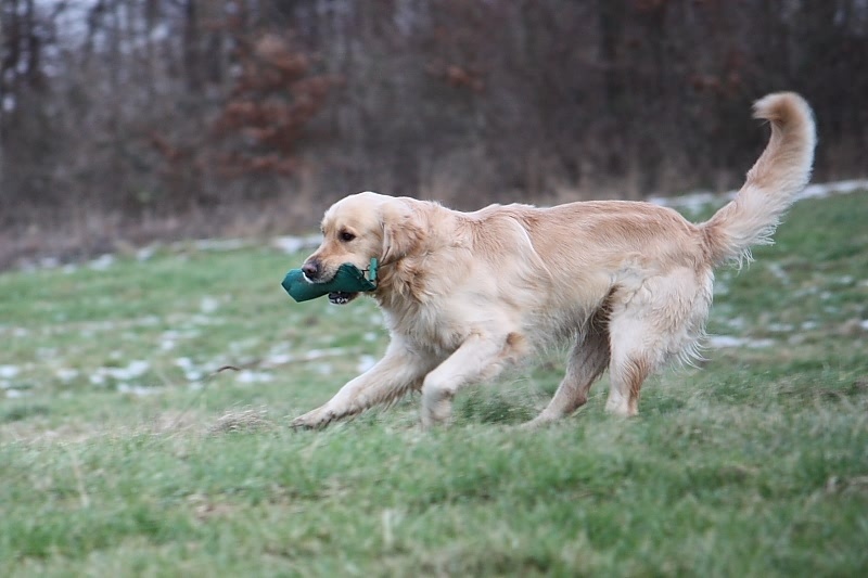 10 01 17 DbF Training 58