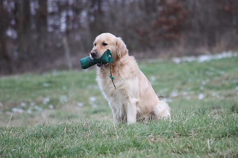 10 01 17 DbF Training 59