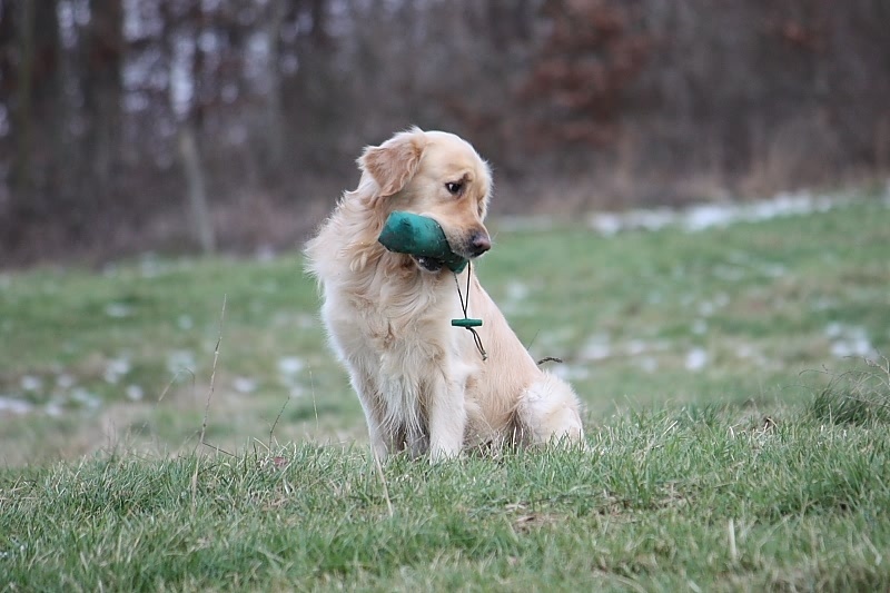 10 01 17 DbF Training 60