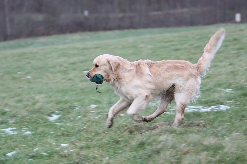 10 01 17 DbF Training 61