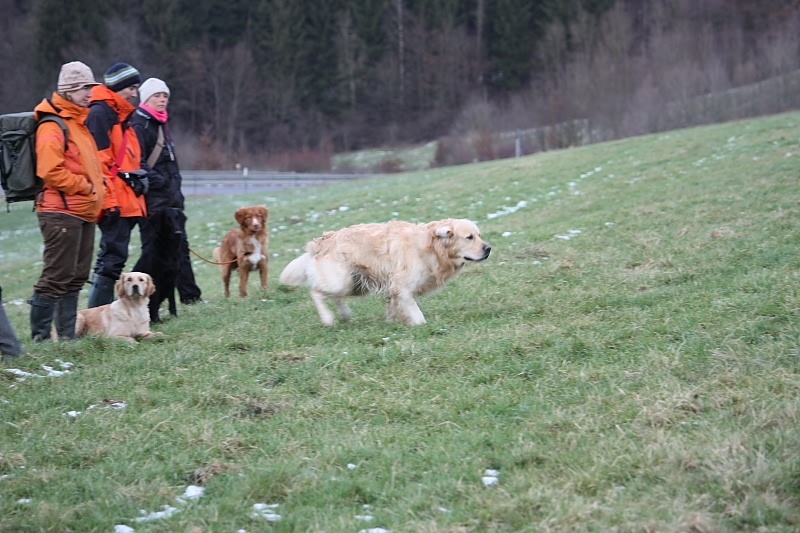 10 01 17 DbF Training 62