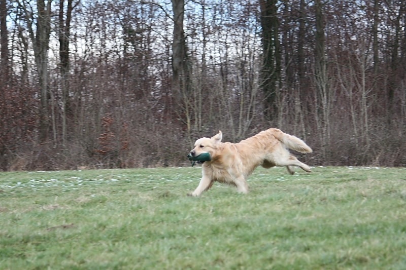 10 01 17 DbF Training 63