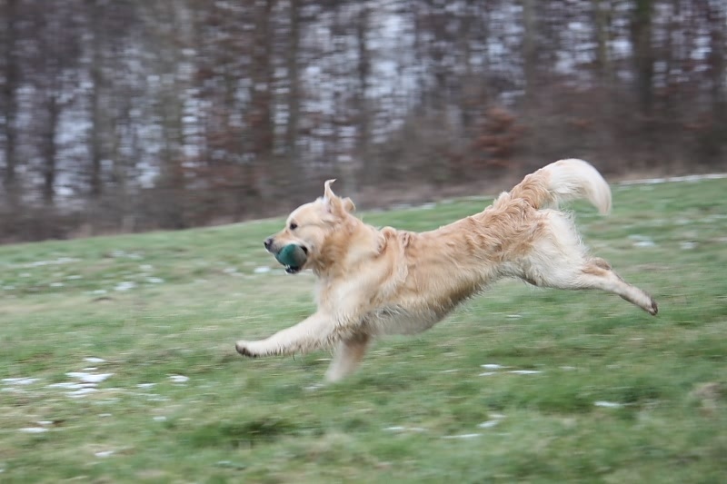 10 01 17 DbF Training 64