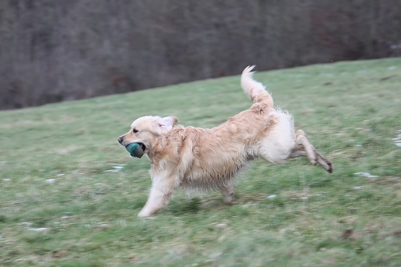 10 01 17 DbF Training 65