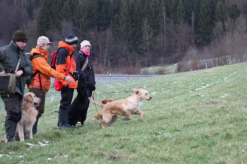 10 01 17 DbF Training 67