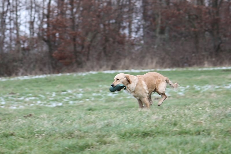 10 01 17 DbF Training 68