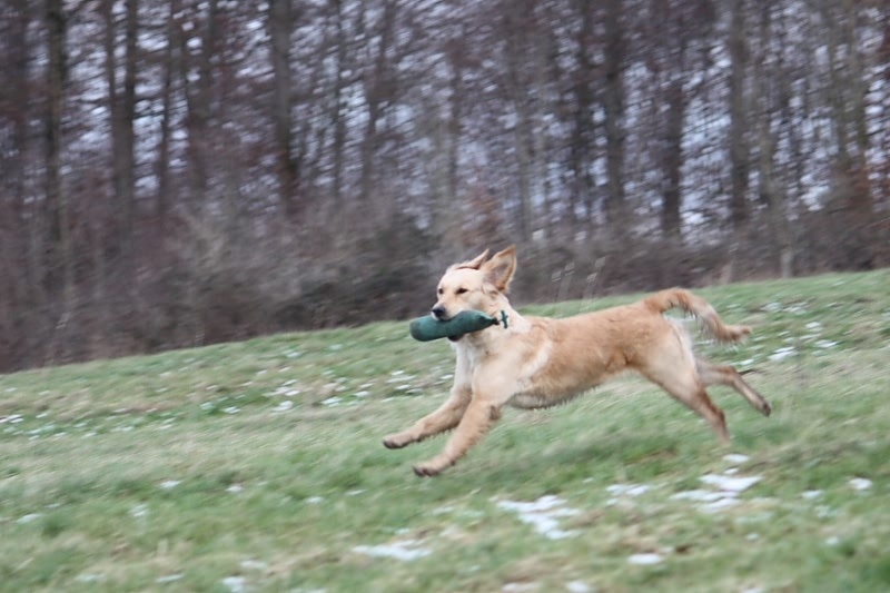 10 01 17 DbF Training 69