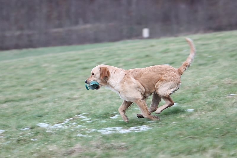 10 01 17 DbF Training 70