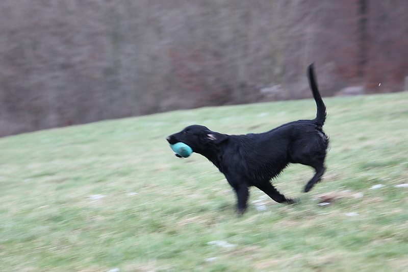 10 01 17 DbF Training 72