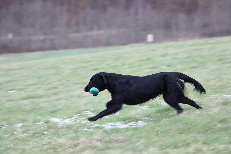 10 01 17 DbF Training 73