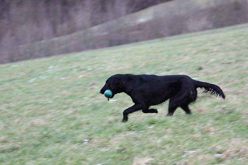 10 01 17 DbF Training 74