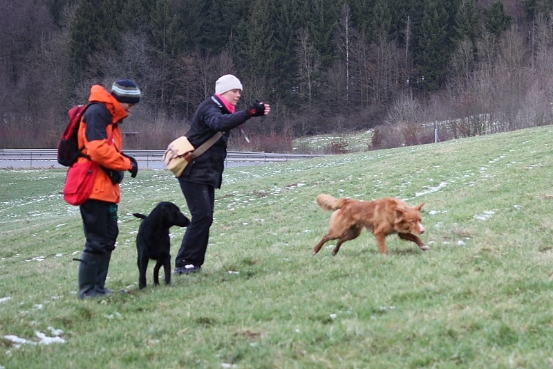 10 01 17 DbF Training 76