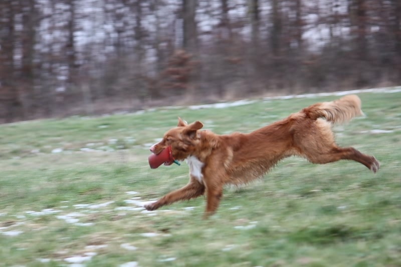 10 01 17 DbF Training 77