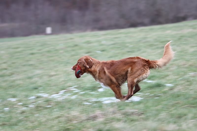 10 01 17 DbF Training 78