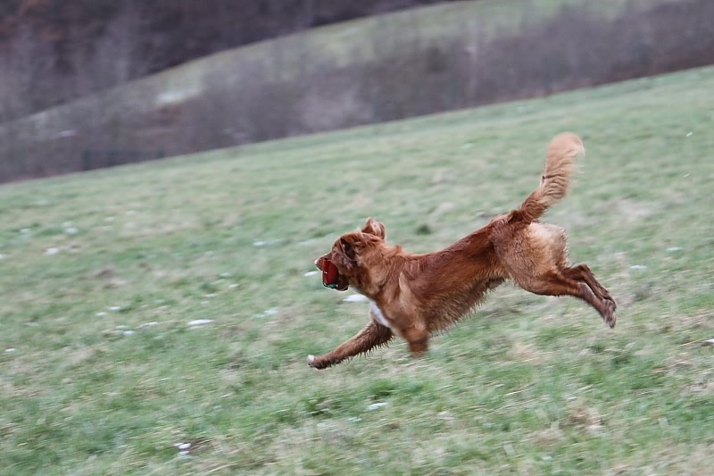 10 01 17 DbF Training 79