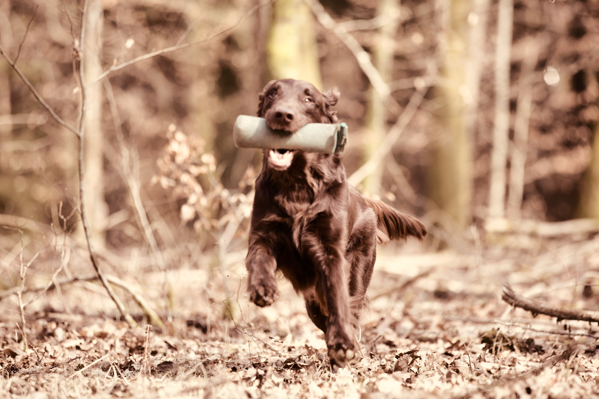 20150314 IMGL1910 Bearbeitet