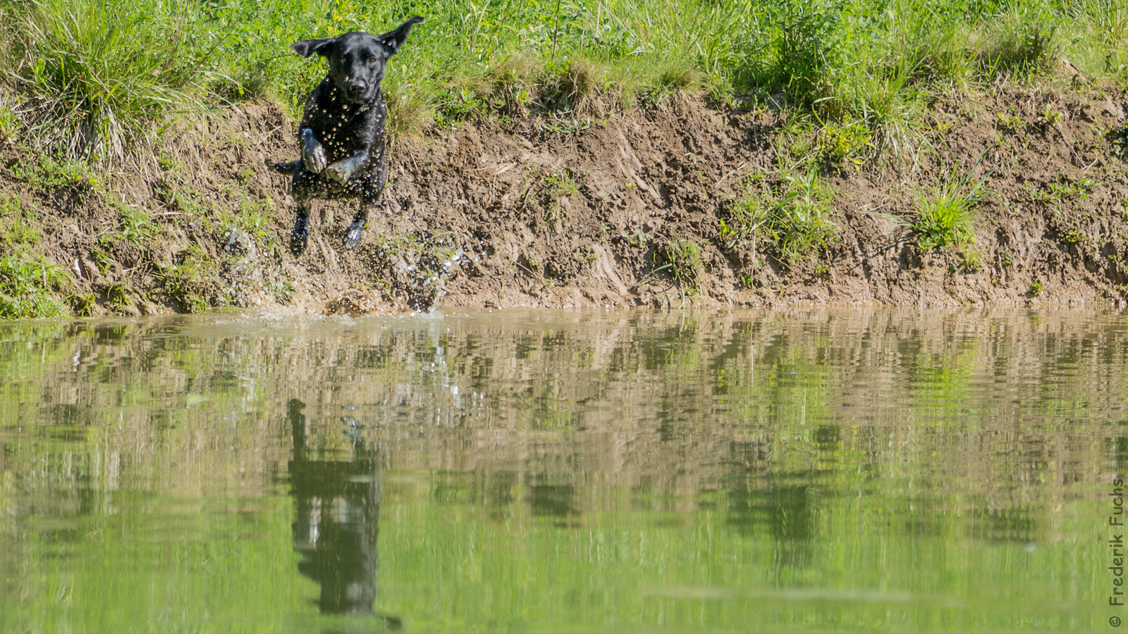 20160506 IMGL6156 Bearbeitet