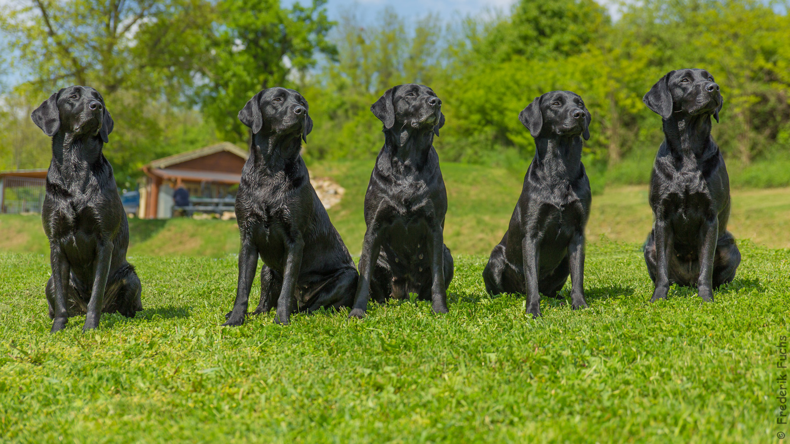 20160506 IMGL6291 Bearbeitet