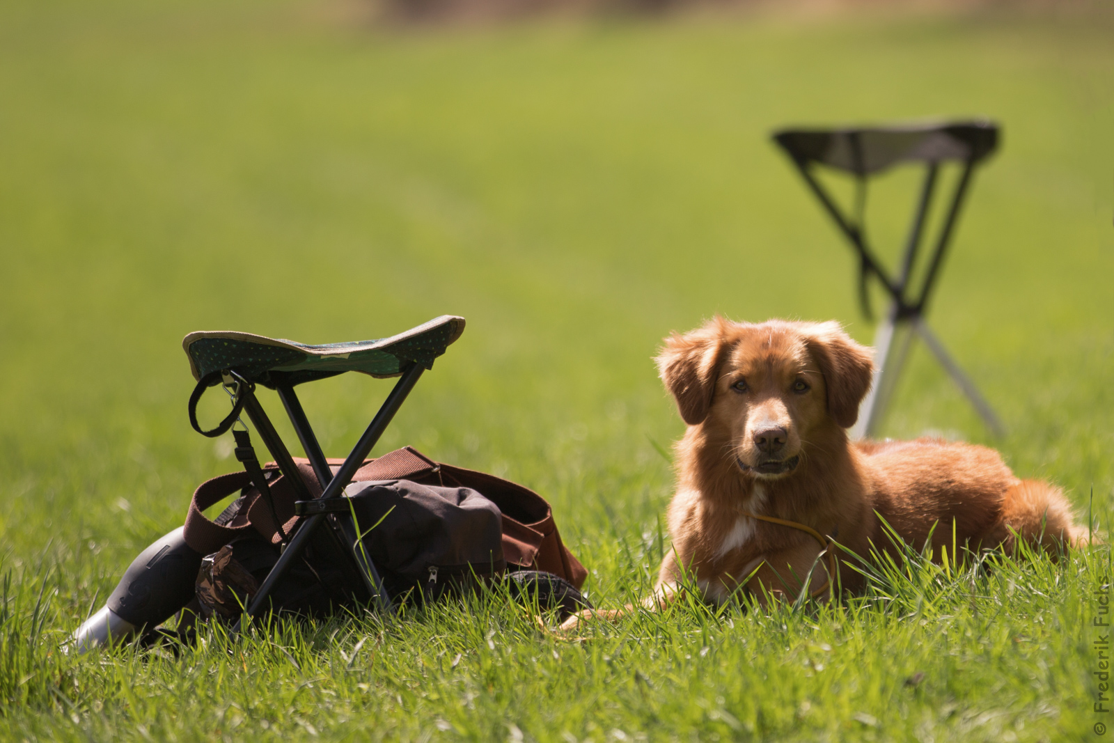 Brünsried April 2016