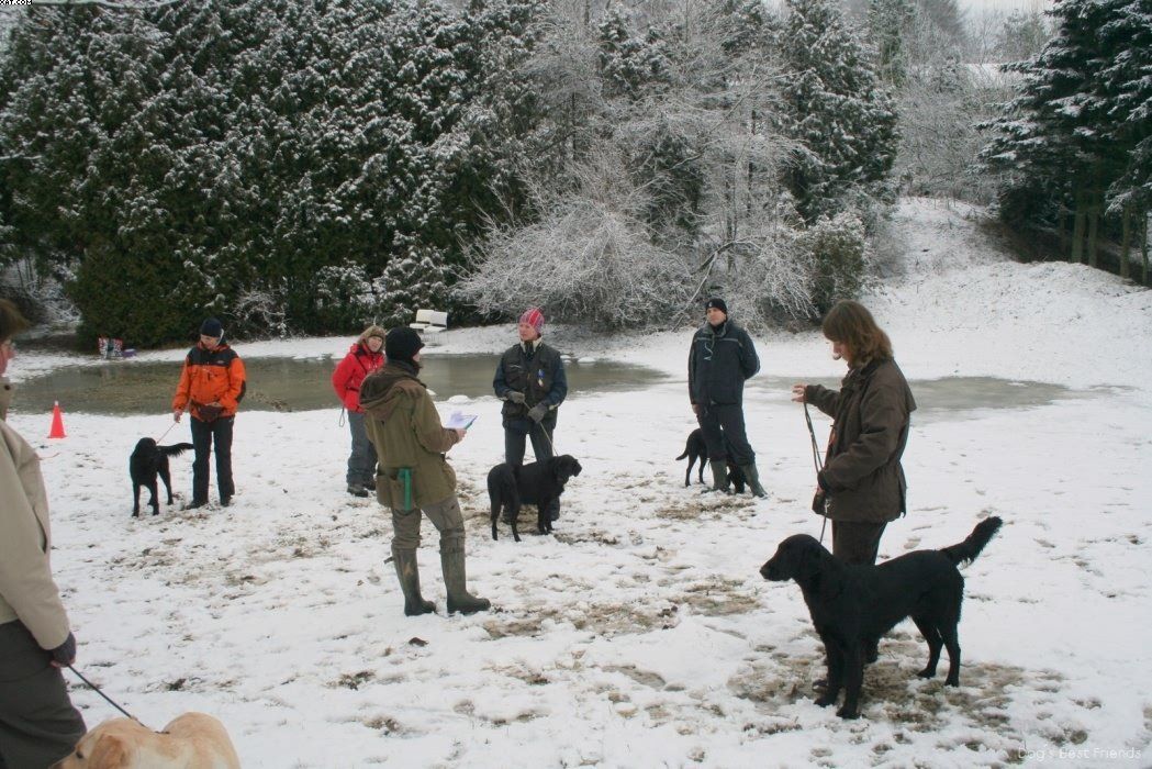 Img 1234119821 385 lg opt