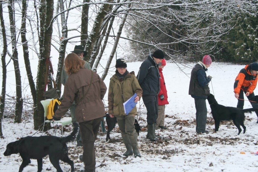 Img 1234119881 794 lg opt