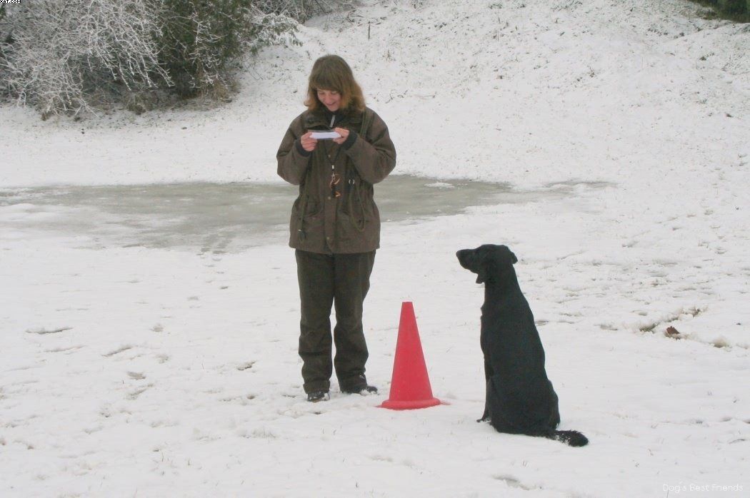 Img 1234119919 152 lg opt