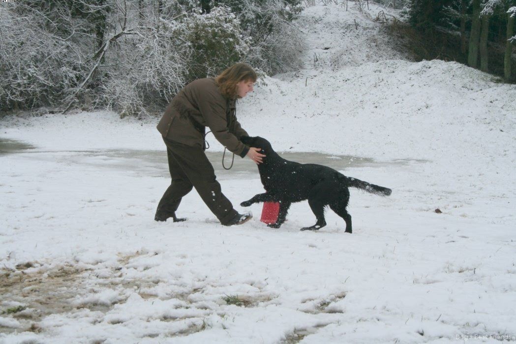 Img 1234119958 128 lg opt