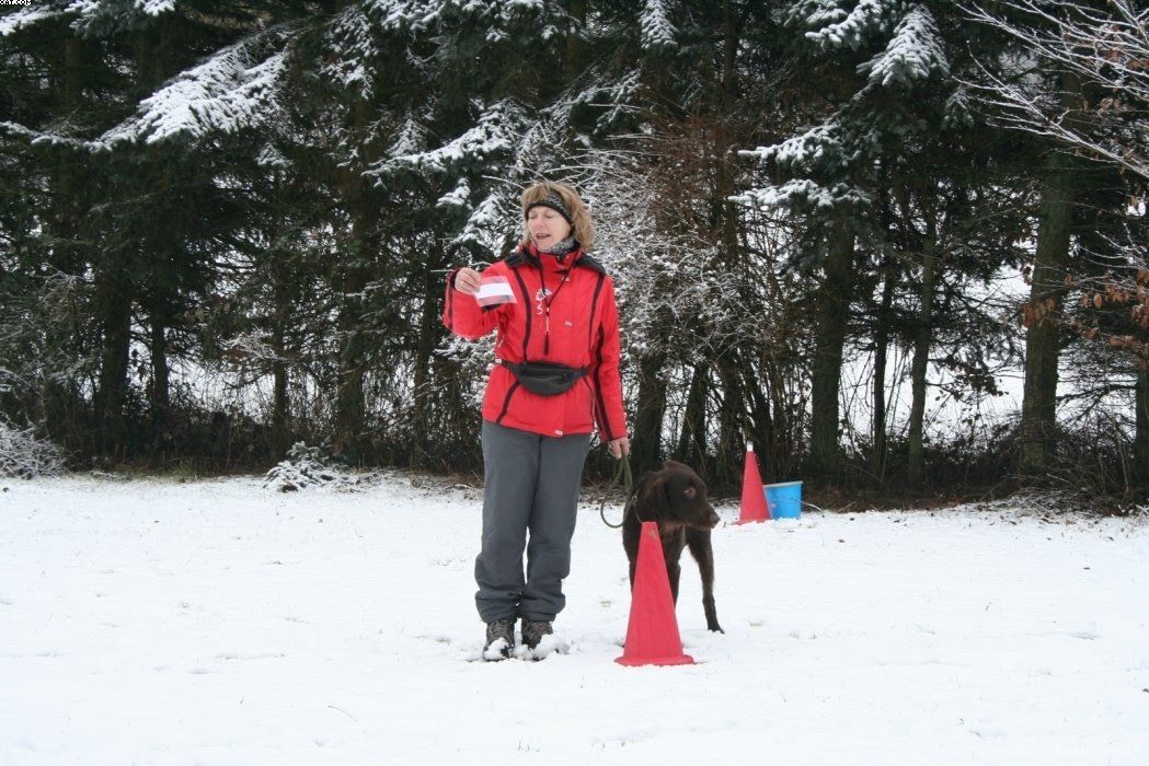 Img 1234120009 457 lg opt