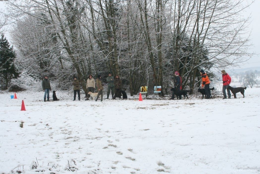 Img 1234120063 244 lg opt