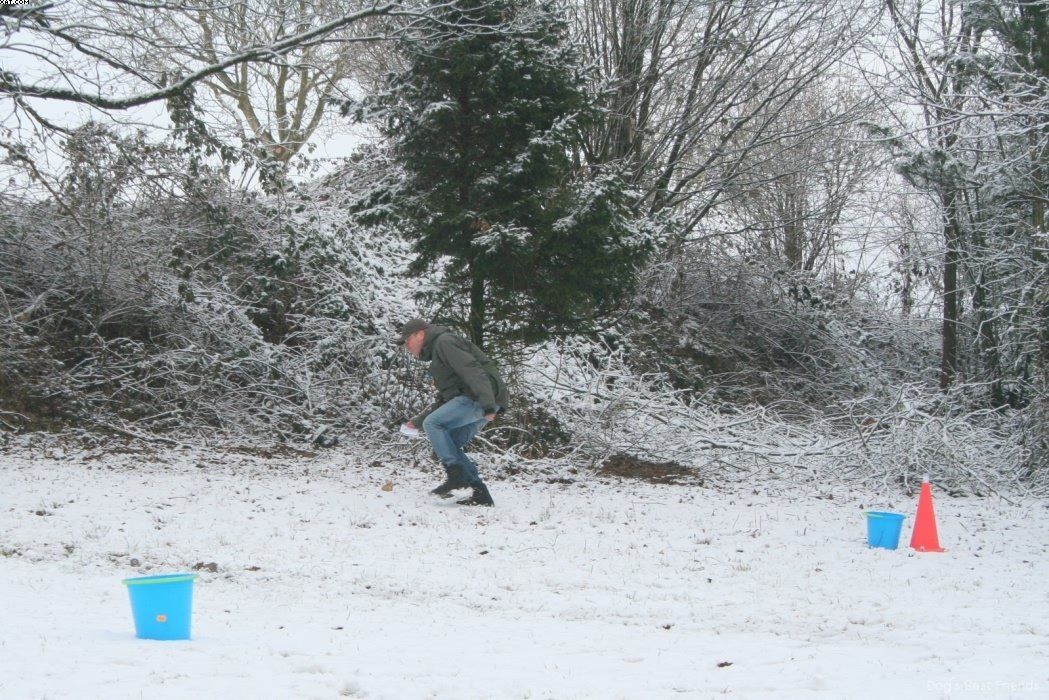 Img 1234120124 506 lg opt