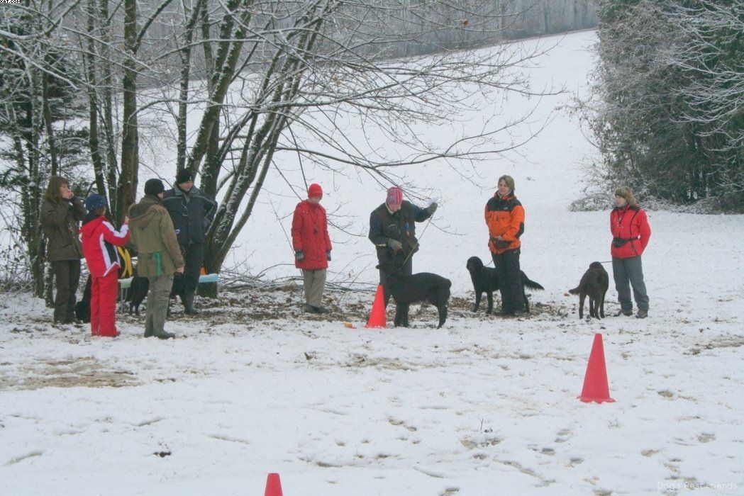 Img 1234120170 239 lg opt