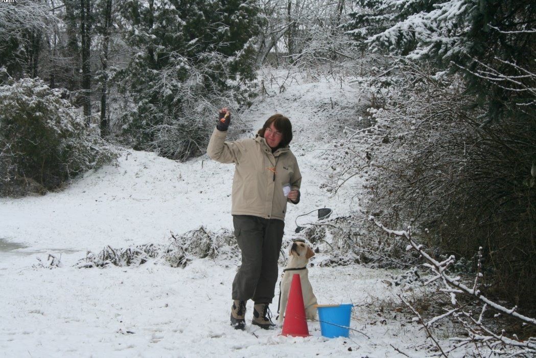 Img 1234120234 392 lg opt