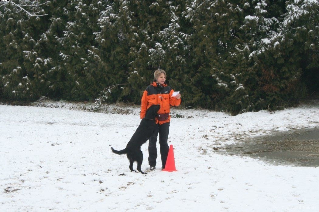 Img 1234120282 592 lg opt