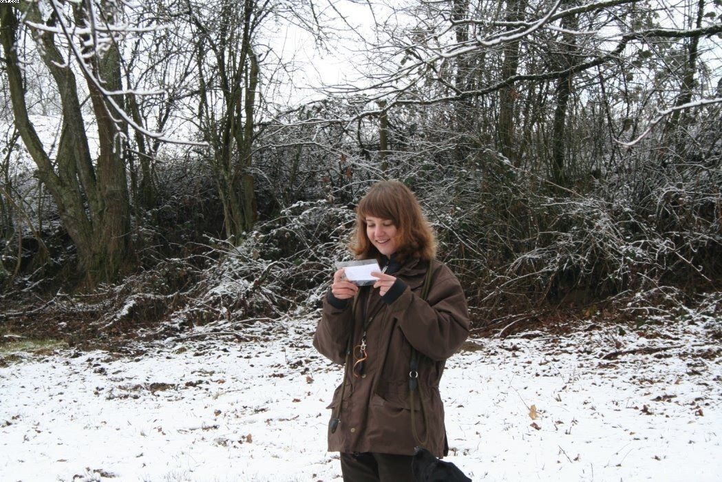 Img 1234120350 923 lg opt