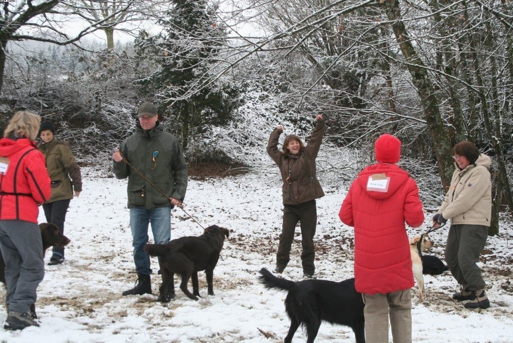 Img 1234120423 140 lg opt