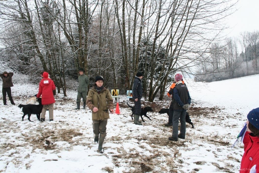 Img 1234120499 687 lg opt