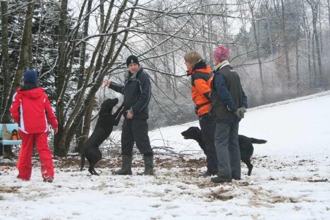 Img 1234120547 66 lg opt