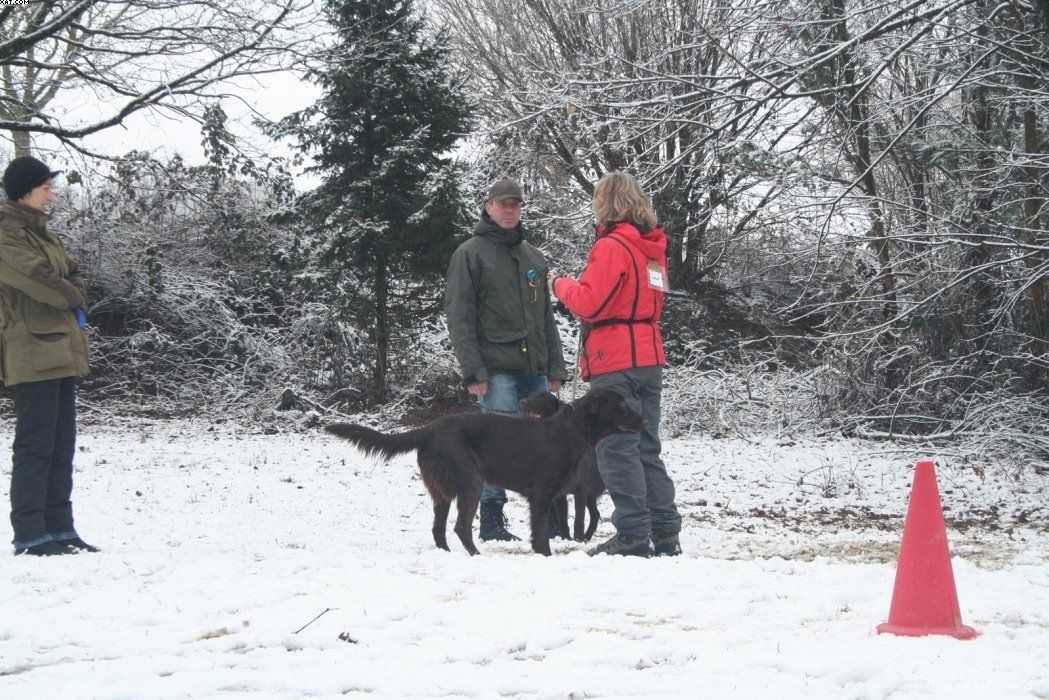 Img 1234120603 836 lg opt