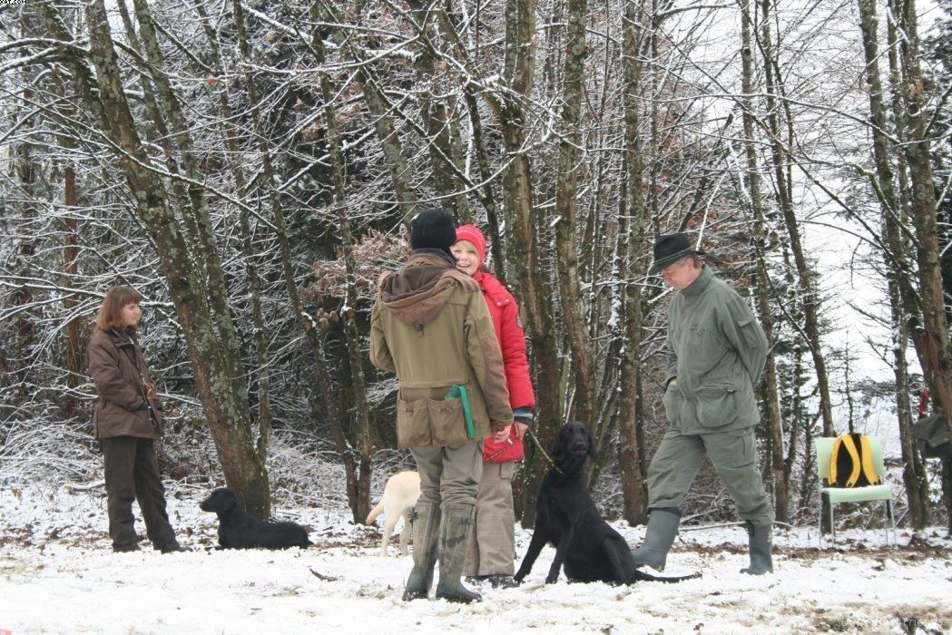 Img 1234120667 485 lg opt