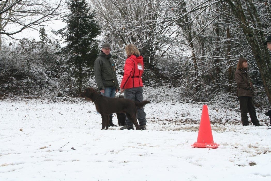 Img 1234120728 580 lg opt