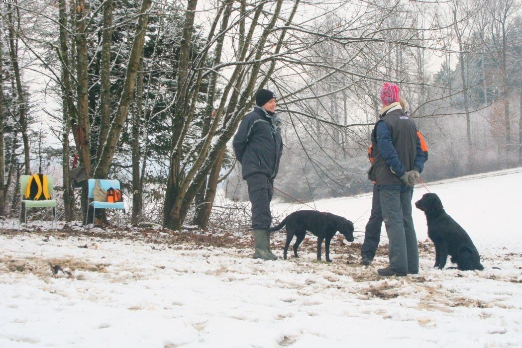 Img 1234120787 418 lg opt