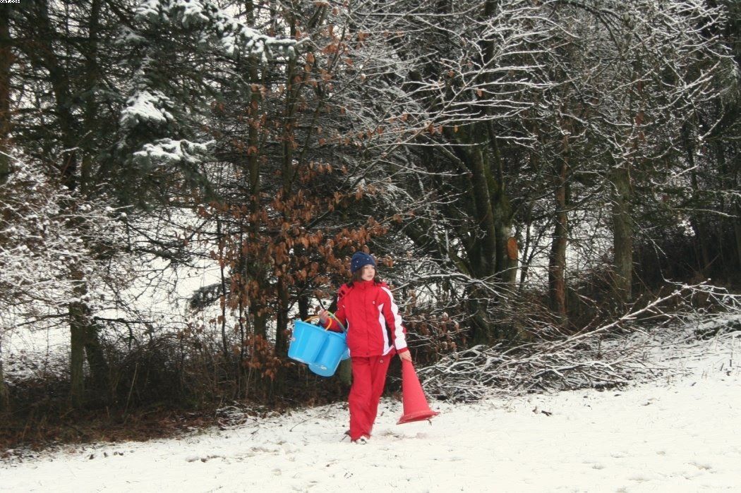 Img 1234120846 380 lg opt