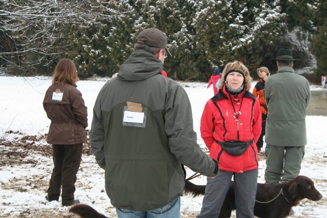 Img 1234120892 678 lg opt