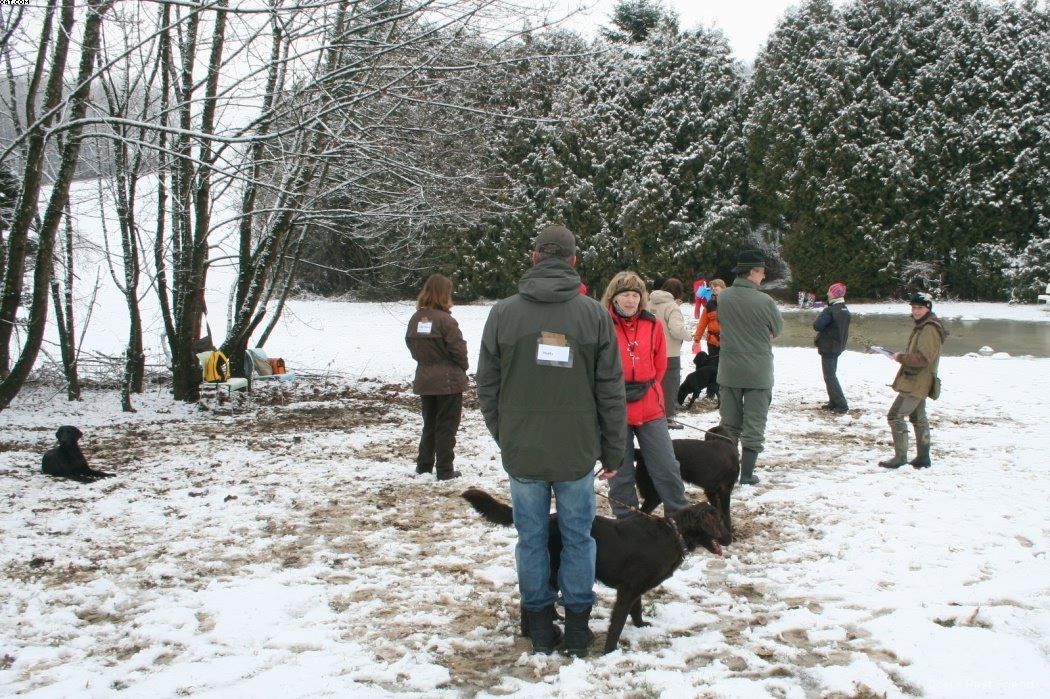 Img 1234120960 696 lg opt