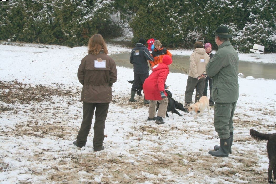 Img 1234121012 211 lg opt