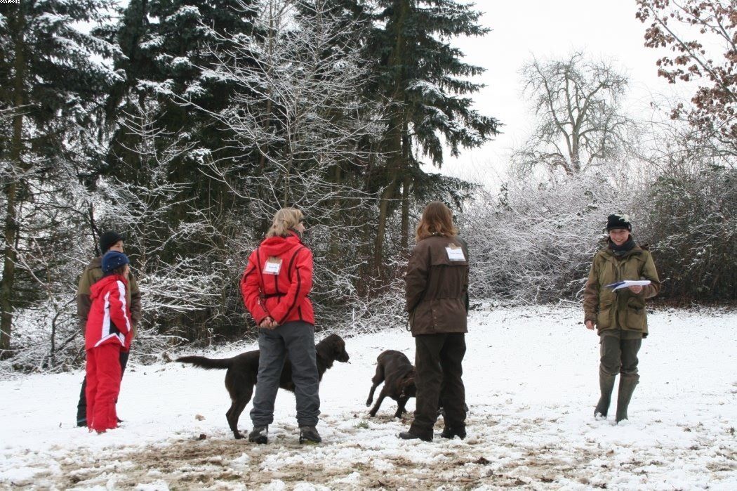 Img 1234121075 488 lg opt